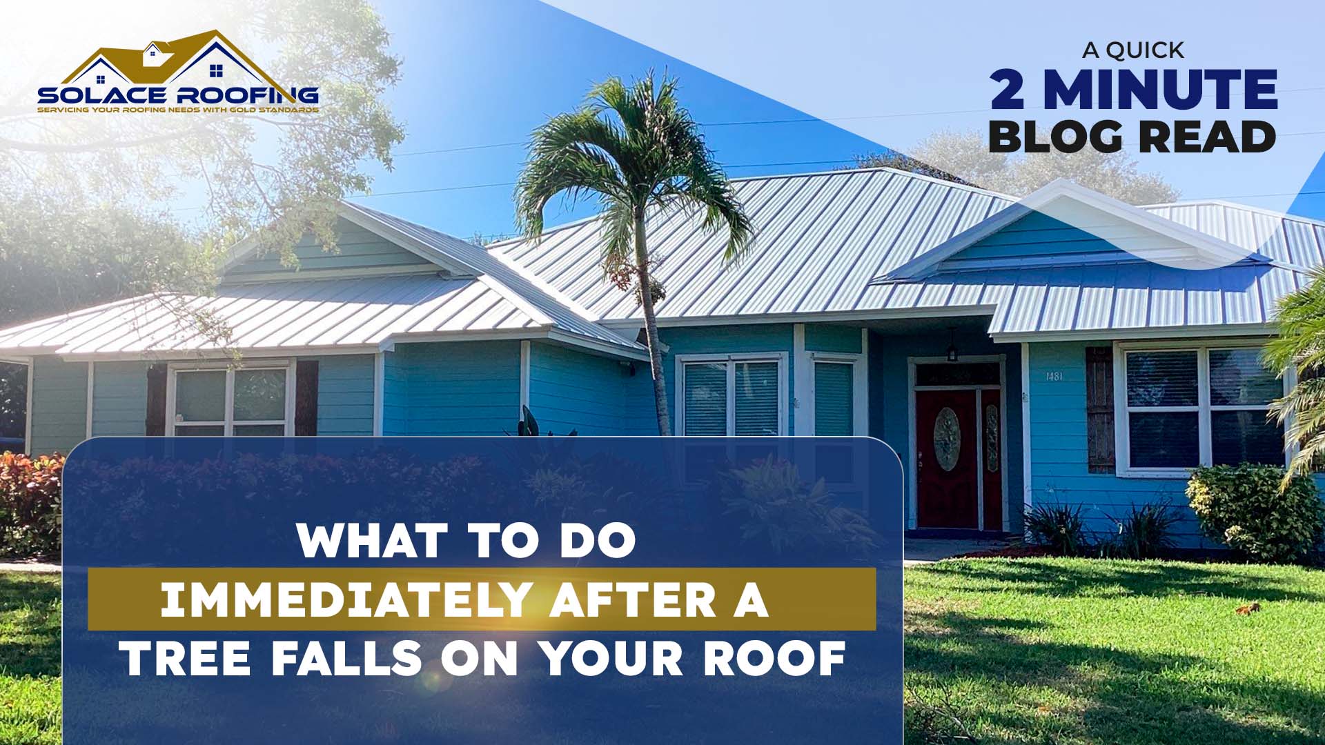 Tree falls on roof